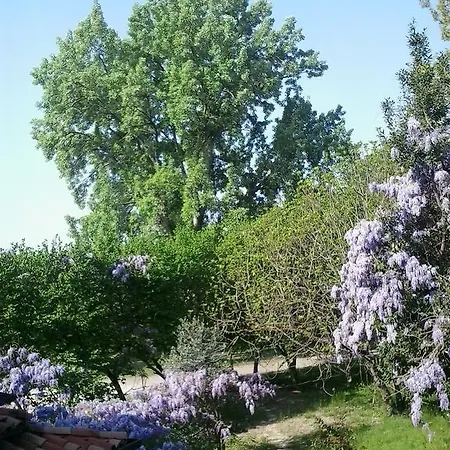 Alloggio per agriturismo Agriturismo Ai Due Pioppi