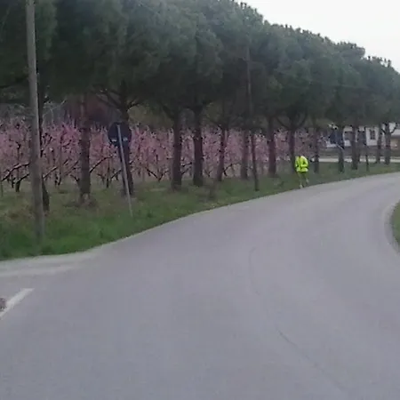 Agriturismo Ai Due Pioppi Alloggio per agriturismo Gorgo (Udine)