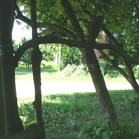 Bauernhof Agriturismo Ai Due Pioppi Gorgo (Udine)